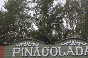 IMG_5822.JPG