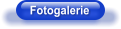 Fotogalerie